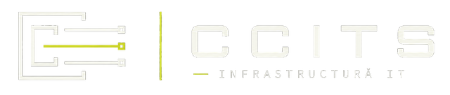 CCITS, Infrastructură IT